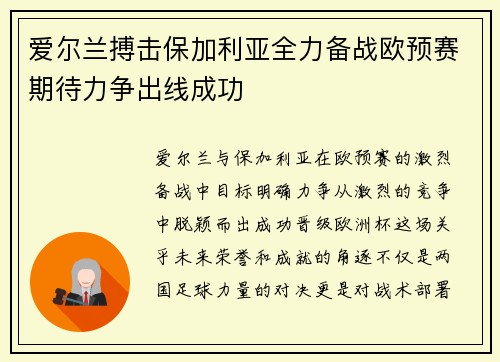 爱尔兰搏击保加利亚全力备战欧预赛期待力争出线成功